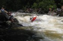 Thumbs/tn_Img_1688.jpg