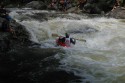 Thumbs/tn_Img_1691.jpg