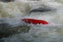 Thumbs/tn_Img_1698.jpg