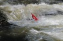 Thumbs/tn_Img_1699.jpg