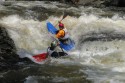Thumbs/tn_Img_1703.jpg