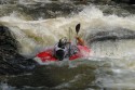 Thumbs/tn_Img_1704.jpg