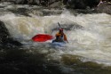 Thumbs/tn_Img_1706.jpg