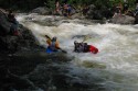 Thumbs/tn_Img_1708.jpg