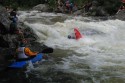 Thumbs/tn_Img_1709.jpg