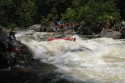 Thumbs/tn_Img_1719.jpg