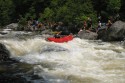 Thumbs/tn_Img_1722.jpg