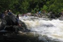 Thumbs/tn_Img_1741.jpg