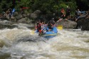Thumbs/tn_Img_1744.jpg