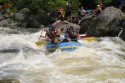 Thumbs/tn_Img_1746.jpg