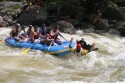 Thumbs/tn_Img_1747.jpg
