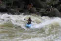 Thumbs/tn_Img_1760.jpg