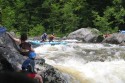 Thumbs/tn_Img_1774.jpg