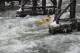Thumbs/tn_Img_6428.jpg