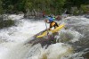Thumbs/tn_Img_4436.jpg