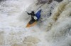 Thumbs/tn_Img_4509.jpg