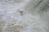 Thumbs/tn_Img_4549.jpg
