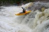 Thumbs/tn_Img_4555.jpg
