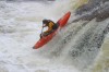 Thumbs/tn_Img_4586.jpg