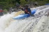 Thumbs/tn_Img_4673.jpg