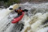 Thumbs/tn_Img_4723.jpg