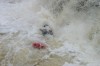 Thumbs/tn_Img_4725.jpg