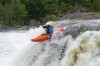 Thumbs/tn_Img_4777.jpg