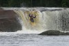 Thumbs/tn_Img_4827.jpg