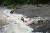 Thumbs/tn_Img_4907.jpg