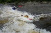 Thumbs/tn_Img_4911.jpg