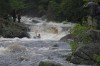 Thumbs/tn_Img_4929.jpg