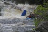 Thumbs/tn_Img_4942.jpg
