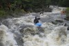 Thumbs/tn_Img_4954.jpg