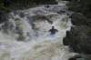 Thumbs/tn_Img_4955.jpg