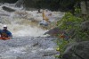 Thumbs/tn_Img_4974.jpg