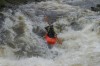 Thumbs/tn_Img_4982.jpg
