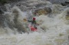 Thumbs/tn_Img_5010.jpg