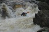 Thumbs/tn_Img_5022.jpg