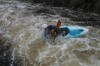 Thumbs/tn_Img_5026.jpg