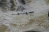 Thumbs/tn_Img_5041.jpg