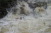 Thumbs/tn_Img_5050.jpg