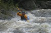 Thumbs/tn_Img_5058.jpg