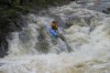 Thumbs/tn_Img_5060.jpg