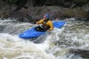 Thumbs/tn_Img_5517.jpg