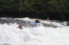 Thumbs/tn_Img_5782.jpg