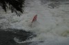 Thumbs/tn_Img_6677.jpg