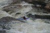 Thumbs/tn_Img_7278.jpg