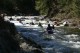 Thumbs/tn_Img_7183.jpg