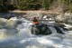 Thumbs/tn_Img_7247.jpg