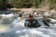 Thumbs/tn_Img_7248.jpg
